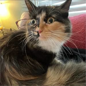 Meet your Posher, Danica